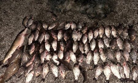 На Нікопольщині чоловік незаконно виловив 25 кг риби, завдавши збитки державі на 140 488 гривень