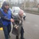 Памʼятає голод і страх Другої світової, а сьогодні живе під звуки вибухів у Нікополі: благодійники допомогли 83-річній Ларисі Павлівні