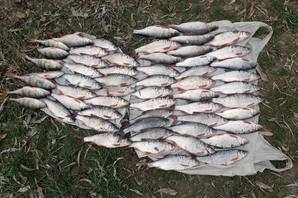 Різке похолодання та пориви холодного вітру зі снігом відлякали більшість рибалок, але не всіх. Біля Нікополя сьогодні затримали бракон’єра…