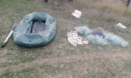 50 пліток і 7 окунів на 100 334 грн: біля Нікополя сьогодні викрили рибалку, який грубо порушив правила (фото)