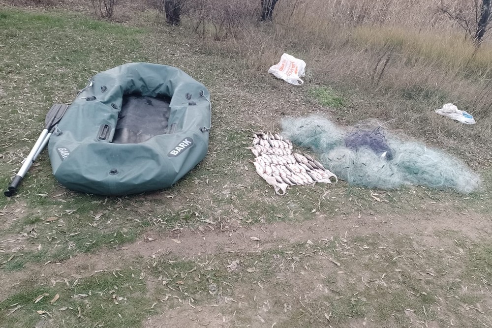 50 пліток і 7 окунів на 100 334 грн: біля Нікополя сьогодні викрили рибалку, який грубо порушив правила (фото)