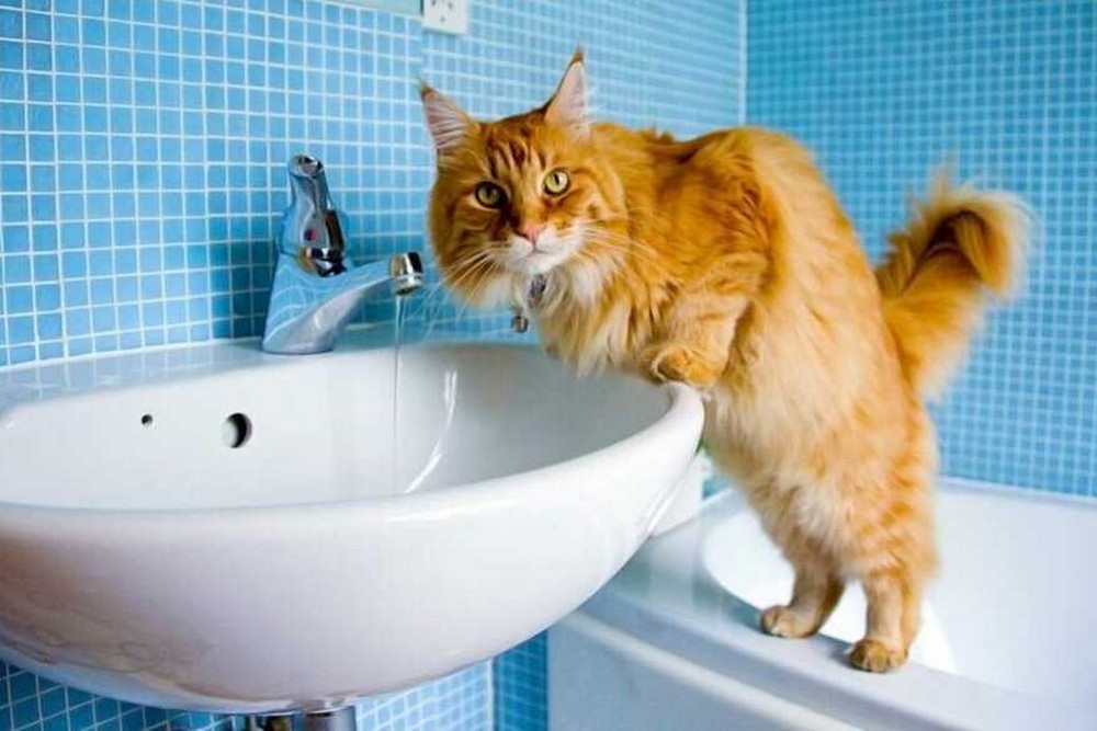 У Нікополі 17 грудня відключили воду в ще одному районі