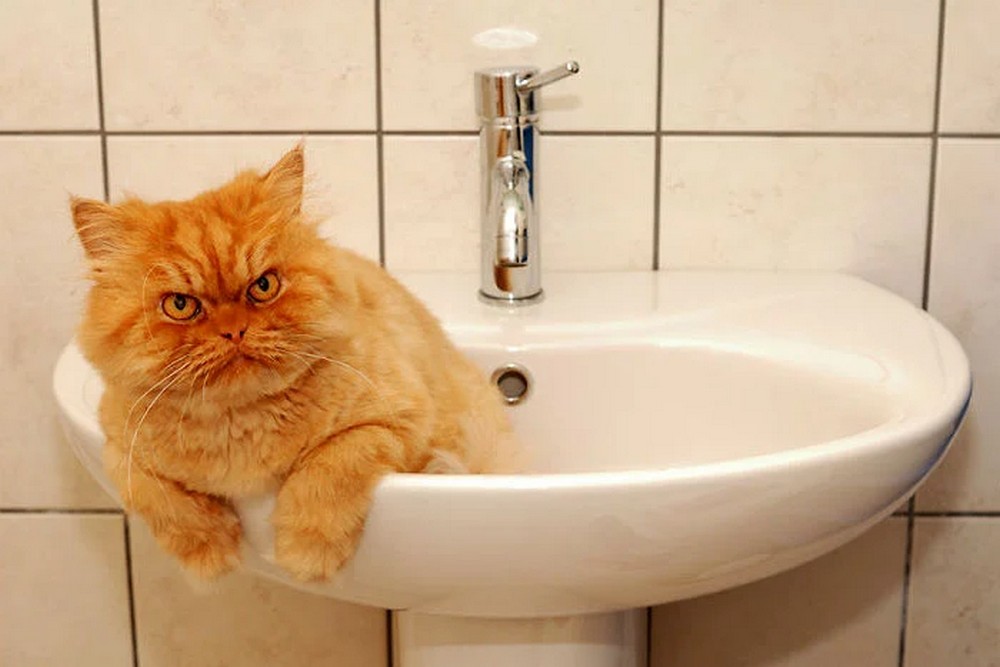 Аварія: у Нікополі 30 грудня відключили воду в одному з районів