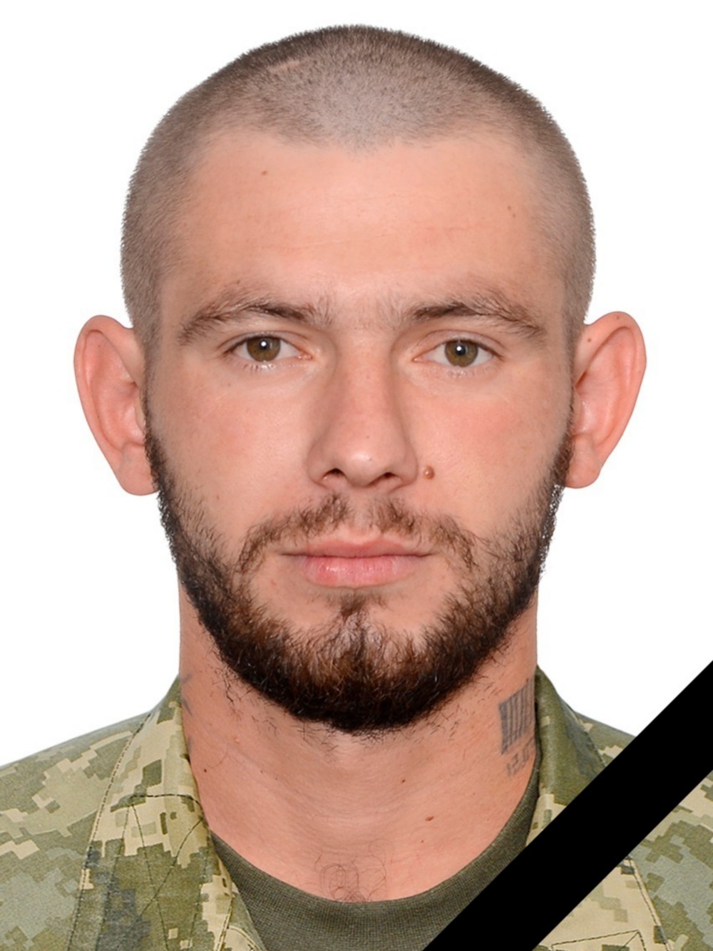 Нікопольщина 2