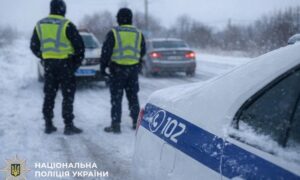 Нікопольщини