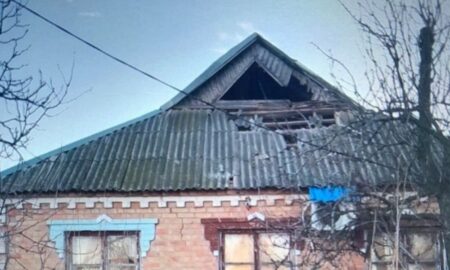 Нікопольщини 2