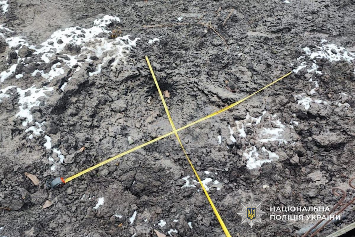 Нікопольщини 6