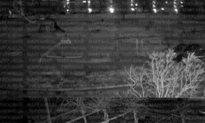 Оприлюднено відео нічного обстрілу Марганця з РСЗВ