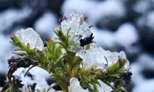 Погода у Нікополі 2