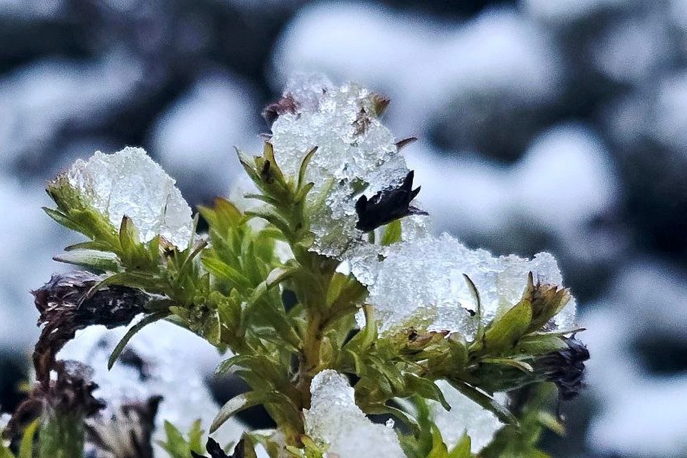 Погода у Нікополі 2