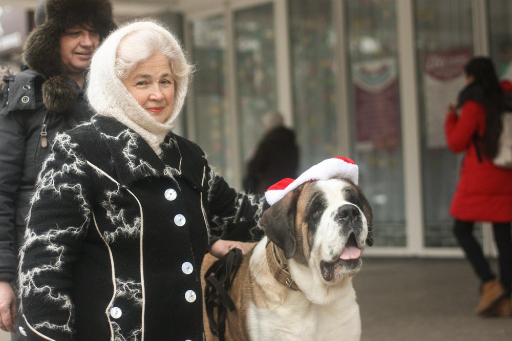  У Нікополі 10