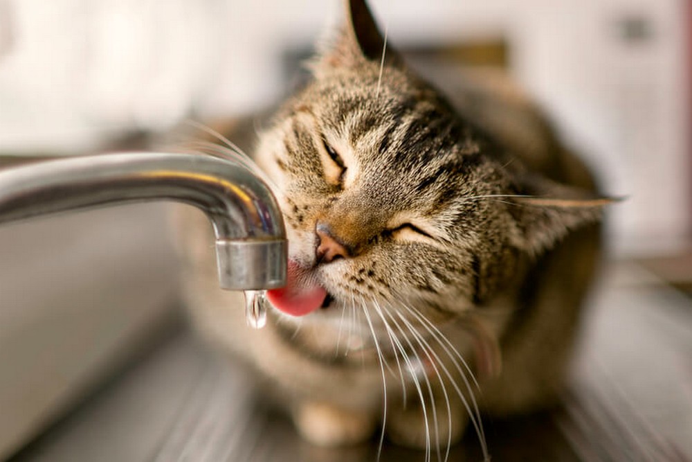 Аварія: у Нікополі 25 грудня відключили воду в одному з районів