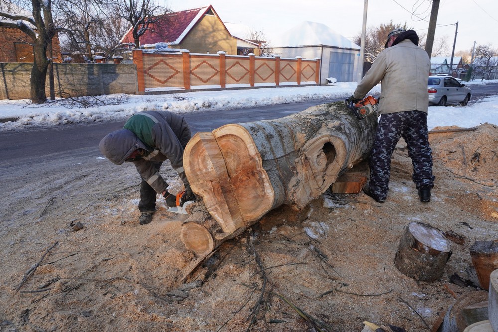 дерева 1 дерева 1