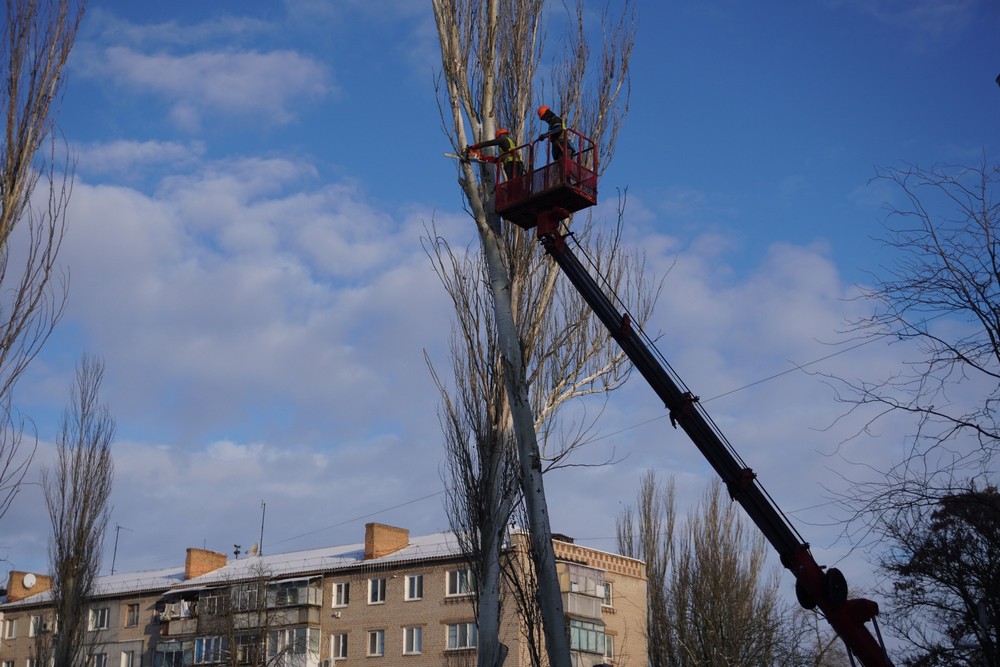 дерева 2 дерева 2