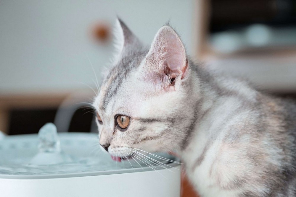 Аварія: у Нікополі 23 грудня відключили воду в одному з районів