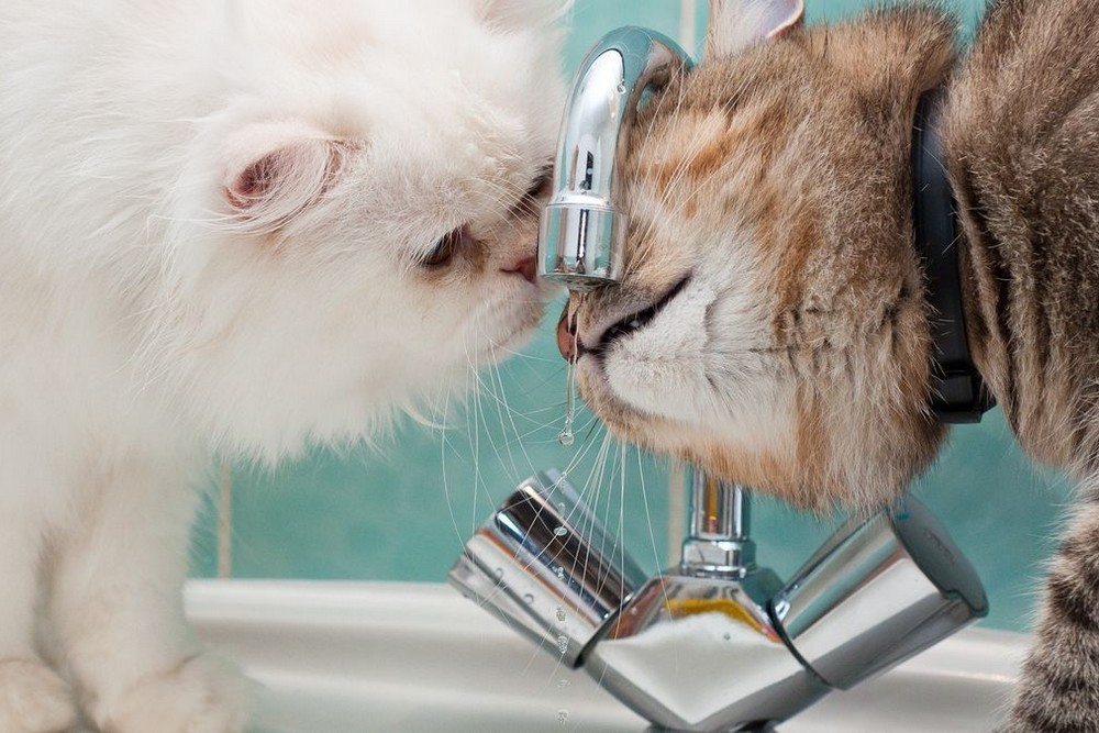 Аварія: у Нікополі 27 грудня відключили воду в одному з районів