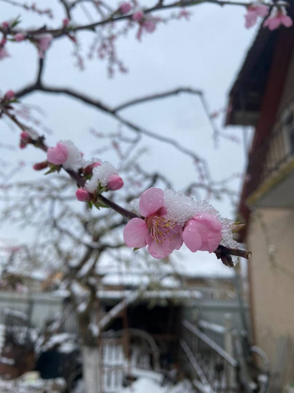Криваві обстріли, ДТП з підлітками, сніг у квітні, сітки, світло: головні події Нікополя і району у 2025 році (фото) Криваві обстріли, ДТП з підлітками, сніг у квітні, сітки, світло: головні події Нікополя і району у 2025 році (фото)