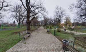 Похмуро і вітряно: погода у Нікополі 7 грудня