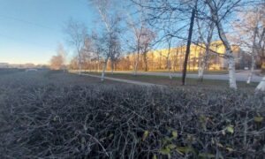 Мороз, сонце і сильний вітер: погода у Нікополі 24 грудня