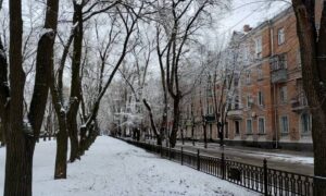 Як пройшла ніч 15 грудня у Нікополі, розповів міський голова Олександр Саюк.