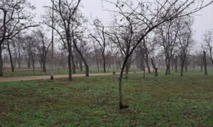 погода у Нікополі