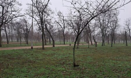 погода у Нікополі