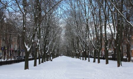 погода у Нікополі 1 січня