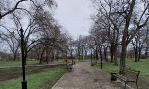 погода у Нікополі 12 грудня