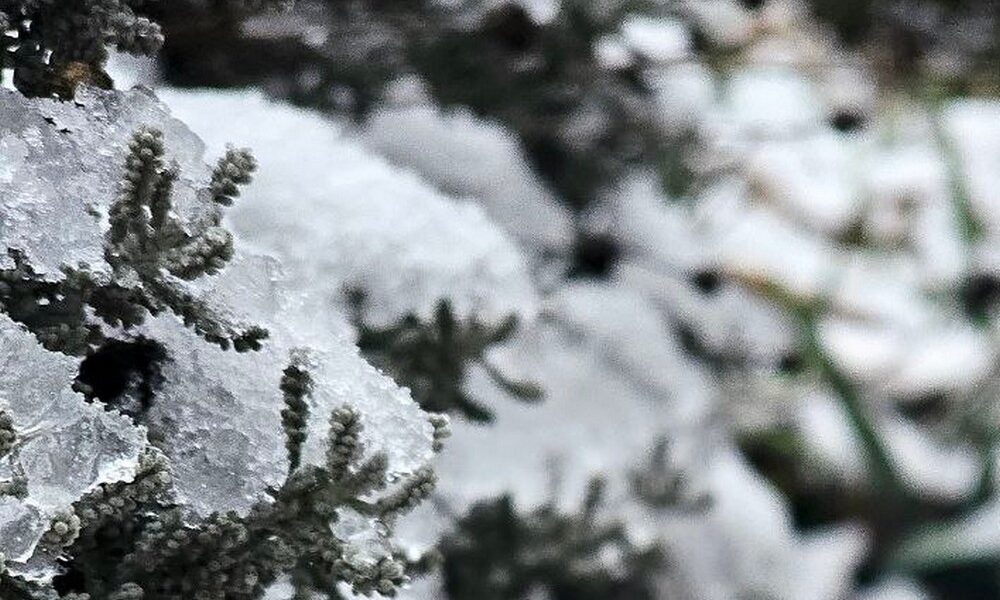 погода у Нікополі 15 грудня