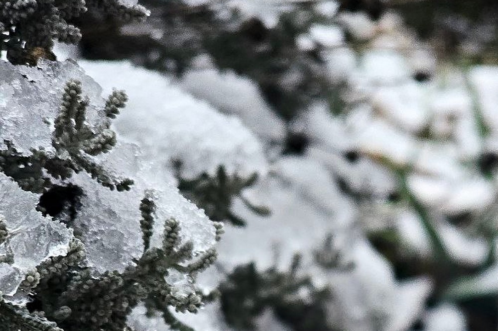 Очікується дощ зі снігом: погода у Нікополі 15 грудня 1 погода у Нікополі 15 грудня