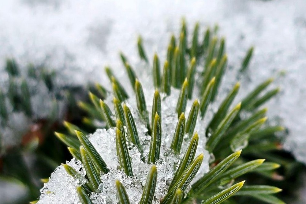 Хуртовини, ожеледиця на дорогах: якою буде погода у Нікополі 29 грудня 1 погода у Нікополі 29 грудня 2