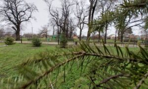 погода у Нікополі 6 грудня