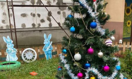 прифронтового Нікополя