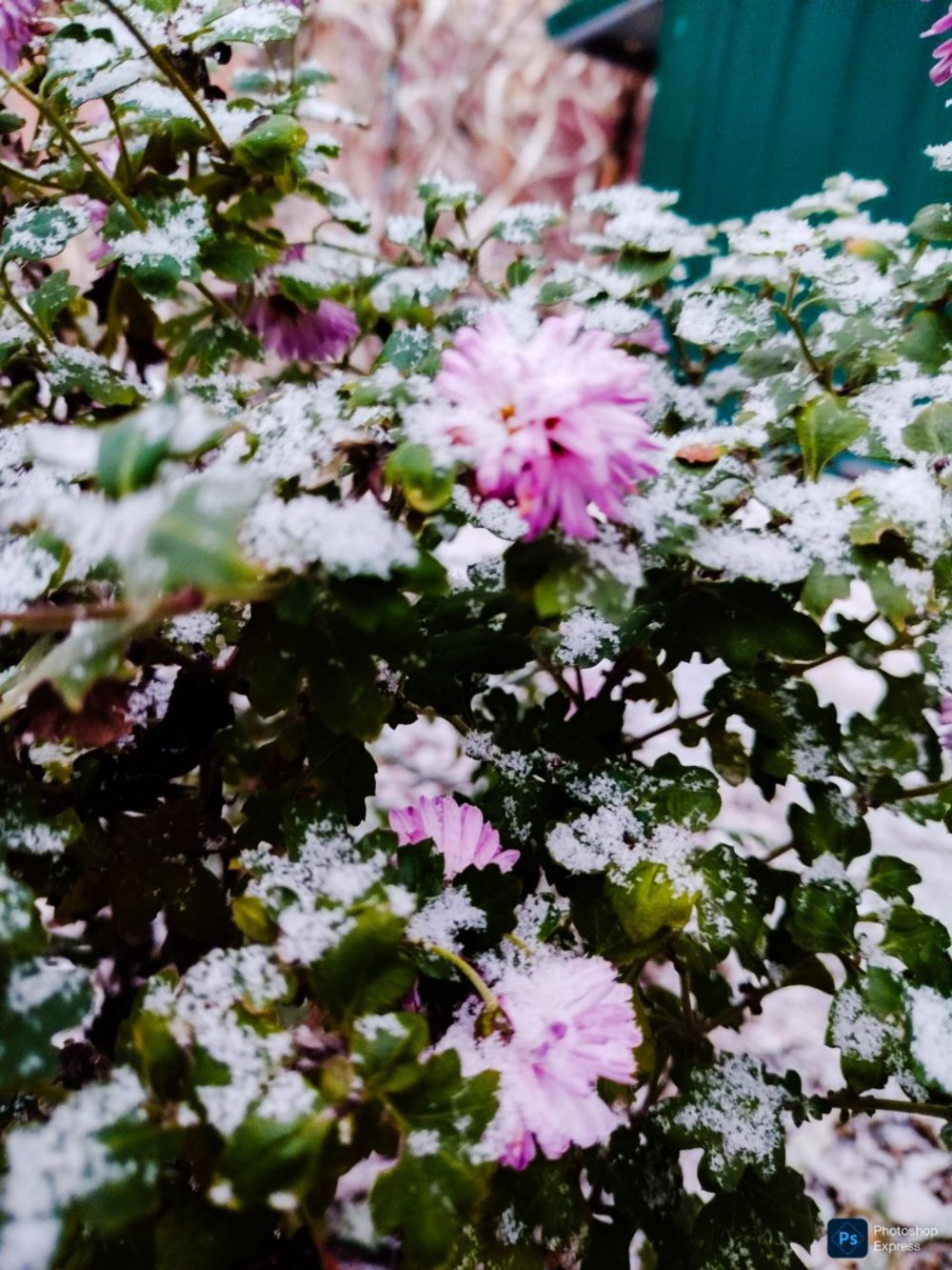 у Нікополі та районі 3 у Нікополі та районі 3