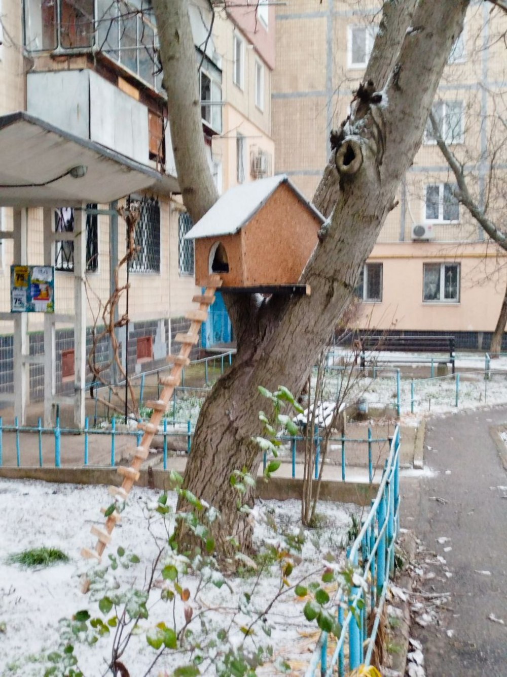 у Нікополі та районі 4 у Нікополі та районі 4