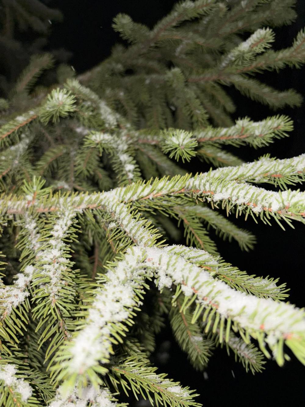 у Нікополі та районі 6 у Нікополі та районі 6