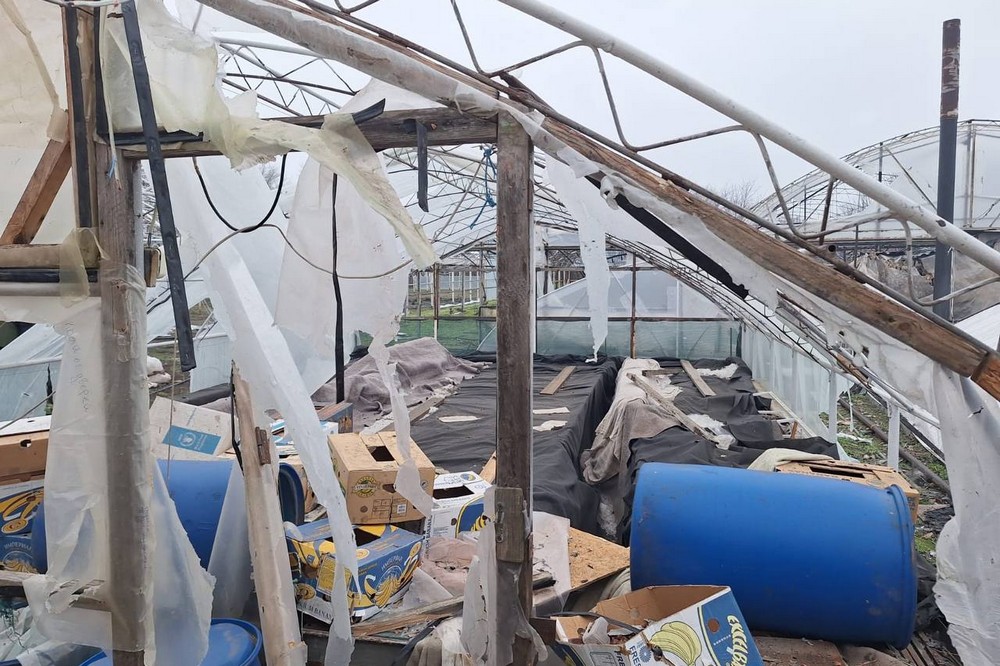 у Нікополі 12