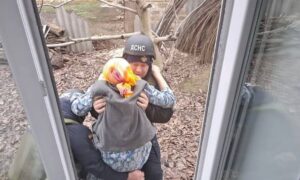 у Нікополі 13