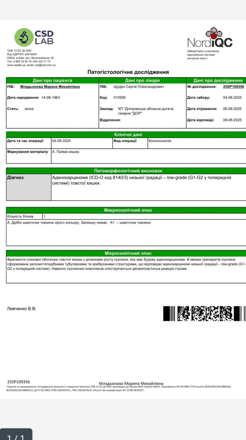 у Нікополі 2 у Нікополі 2