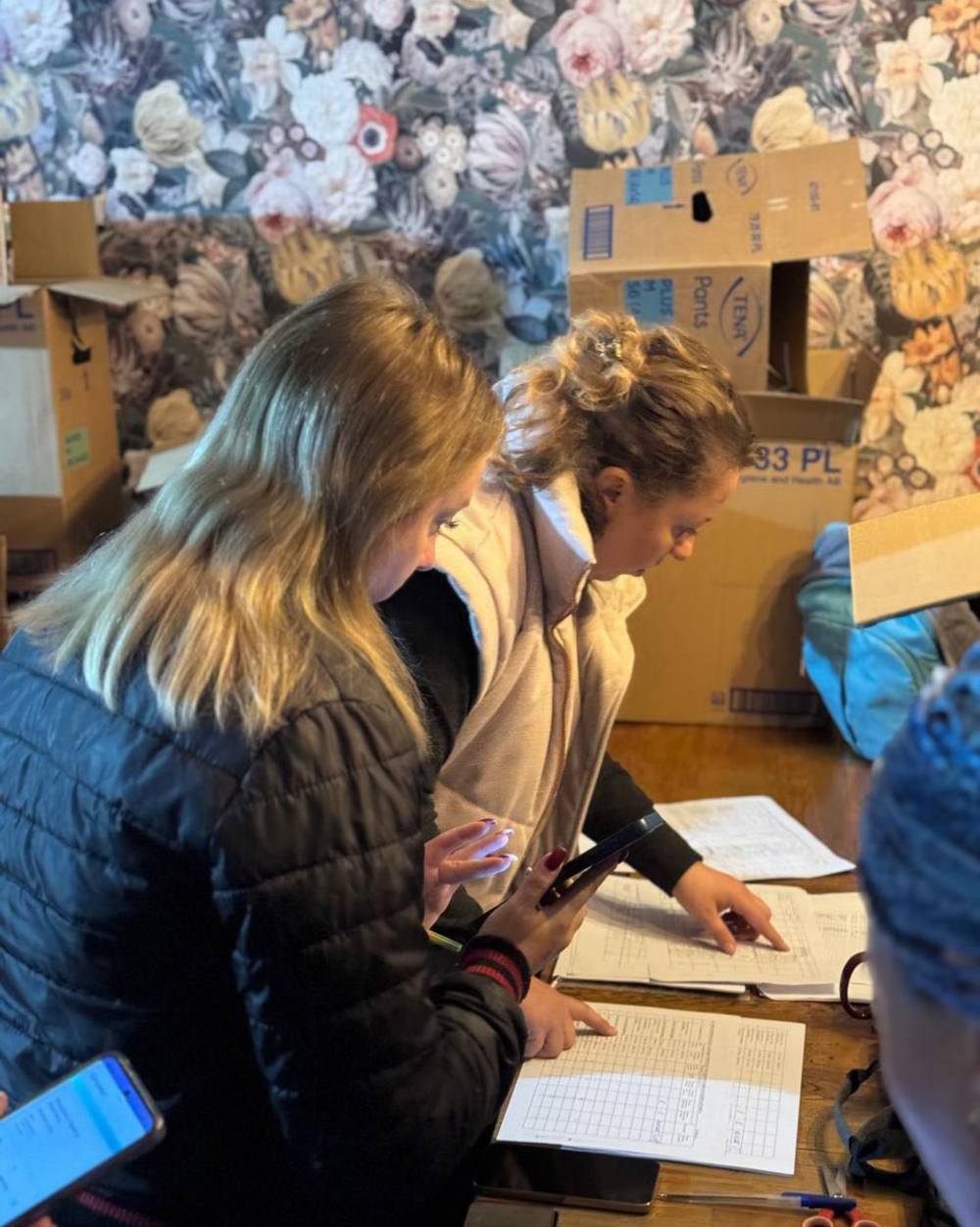 у Нікополі 4 у Нікополі 4