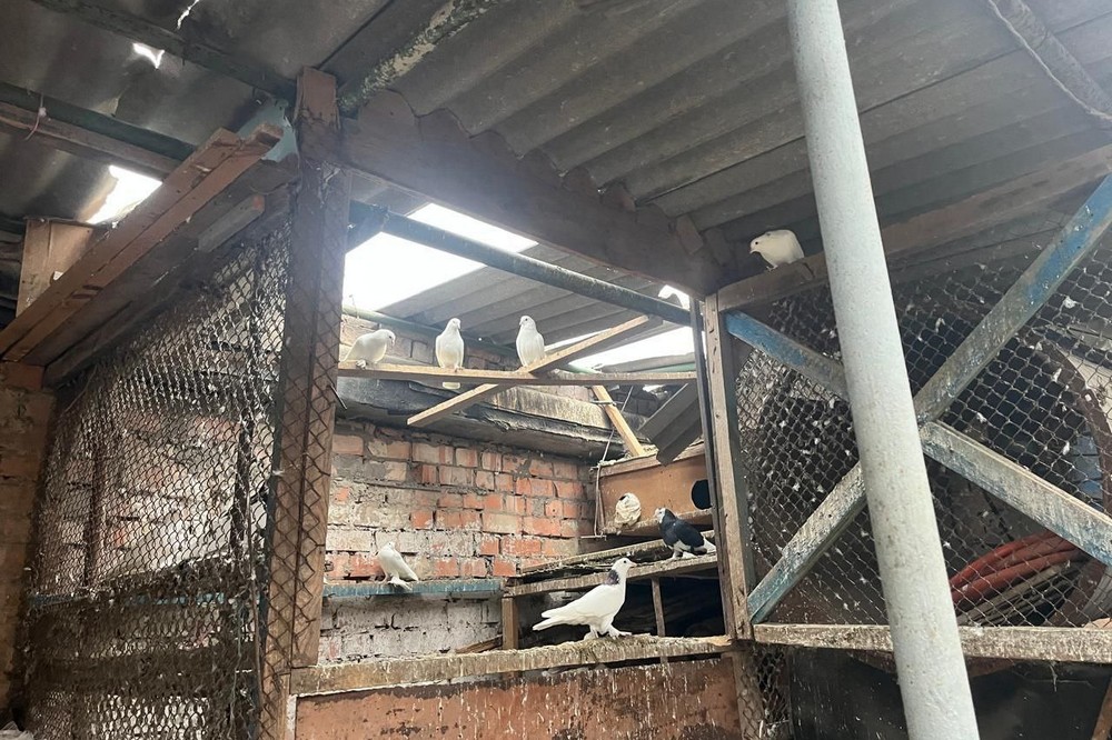 ворог атакував Нікополь та район 4