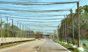 Прифронтові території вперше отримали офіційний статус: як зміниться підтримка держави