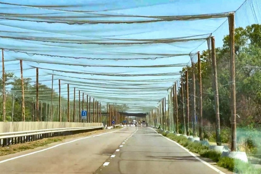 Прифронтові території вперше отримали офіційний статус: як зміниться підтримка держави 1 Прифронтові території вперше отримали офіційний статус: як зміниться підтримка держави