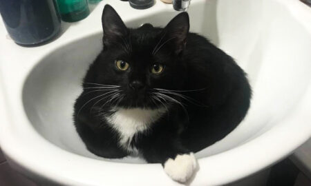 У Нікополі 15 грудня відключили воду в одному з районів