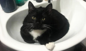 У Нікополі 9 грудня відключили воду в одному з районів