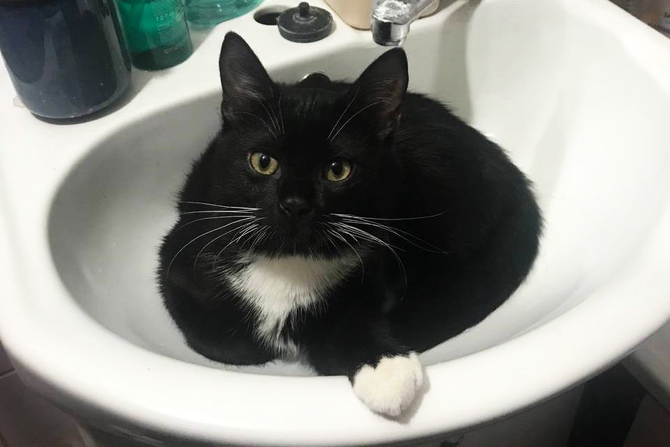 У Нікополі 9 грудня відключили воду в одному з районів