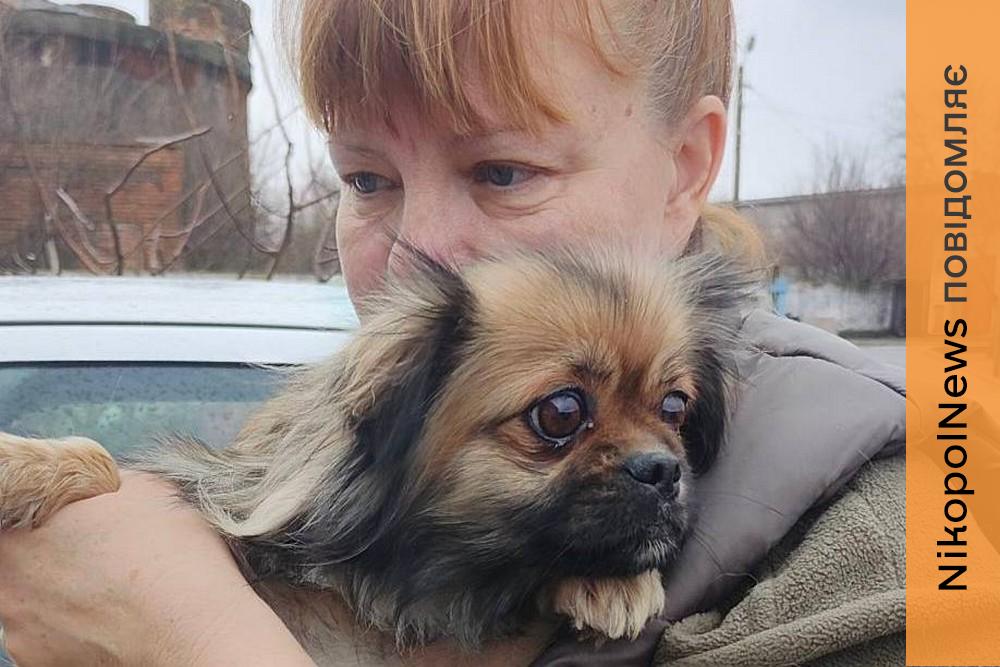 На ліки і тепло: притулку для тварин у Нікополі терміново потрібна допомога