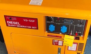 Щоб могли вижити в морози: нікопольський притулок для тварин отримав потужний генератор від благодійників