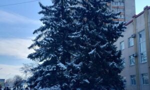 к пройшла ніч 5 січня у Нікополі і на всій території області