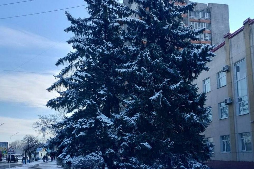 к пройшла ніч 5 січня у Нікополі і на всій території області